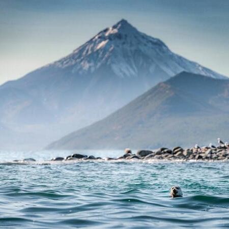 The Best of Kamchatka